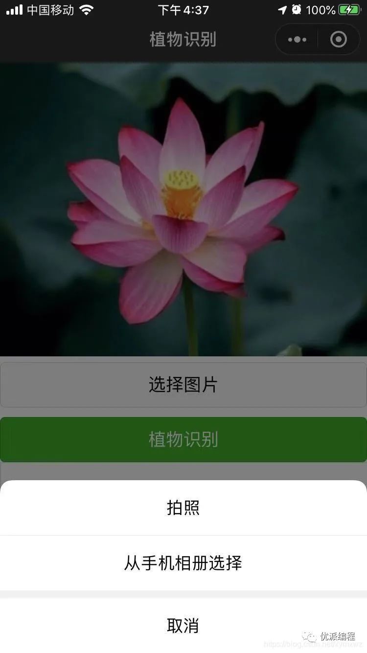 慧眼识花草小程序源码图1