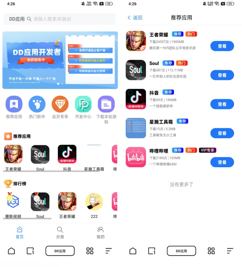 DD应用系统网站源码测试图1