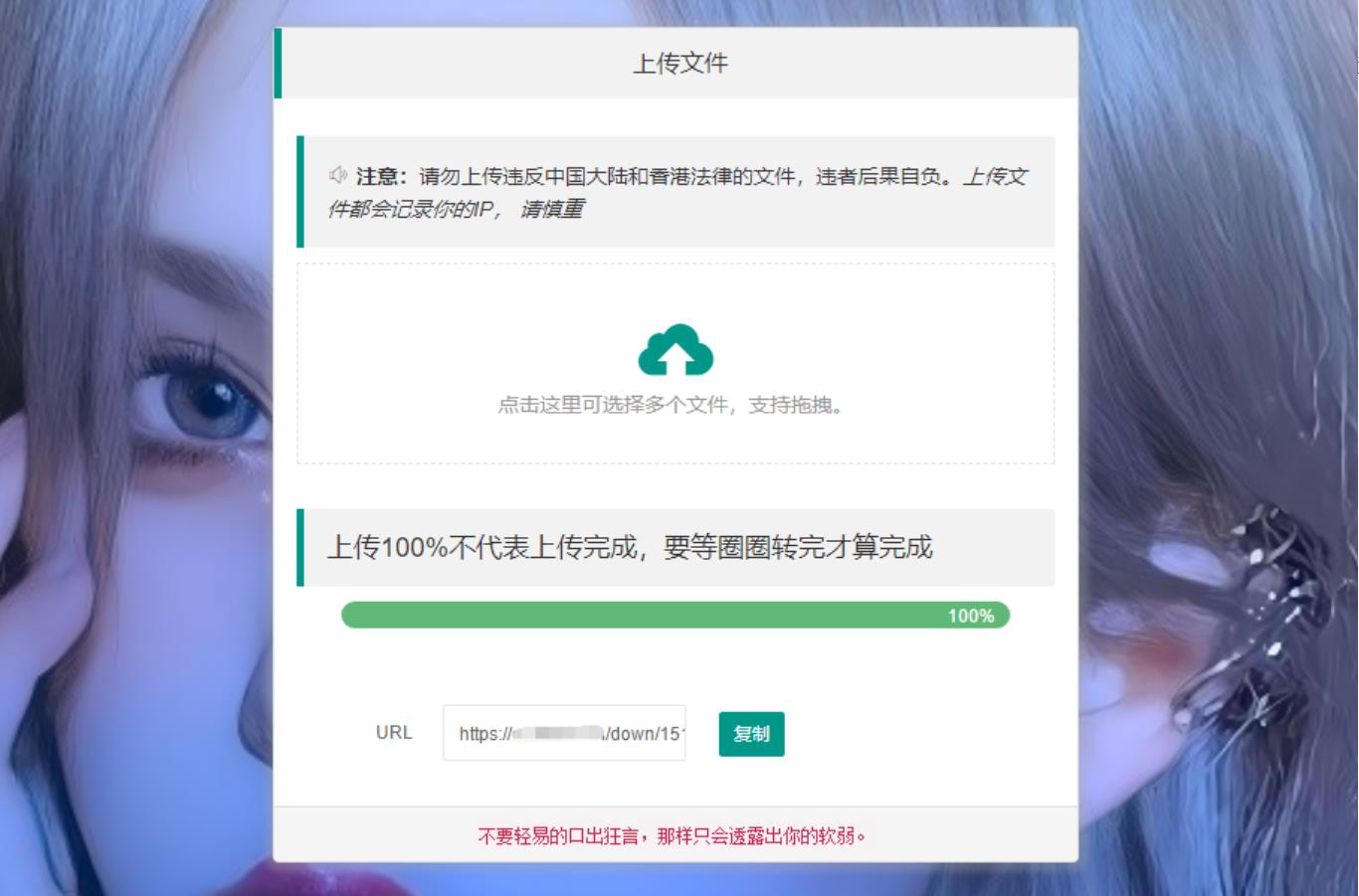 临时文件网盘系统源码测试图2