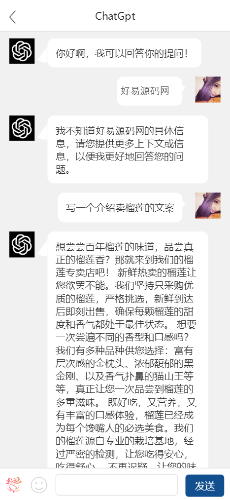 全新简易ChatGPT手机端源码测试图